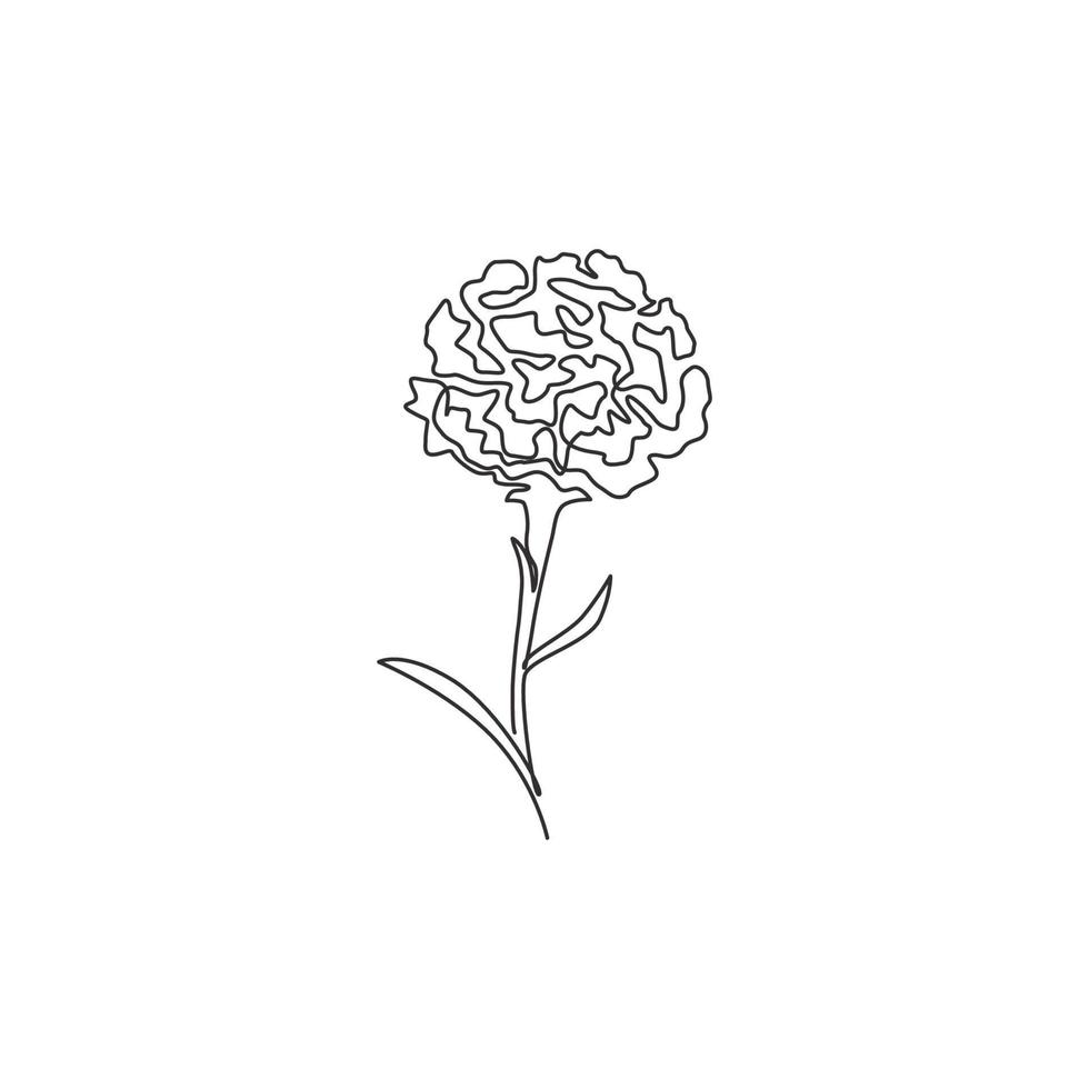 One continuous line drawing beauty fresh carnation for home wall art decor print poster. Decorative dianthus caryophyllus flower for invitation card. Trendy single line draw design vector illustration