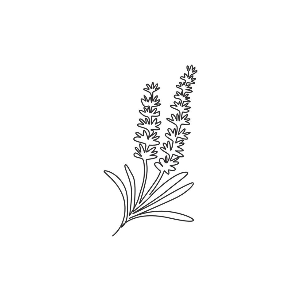 Single one line drawing beauty of fresh lavandula for home wall decor art print poster. Decorative lavender flower for greeting card ornament. Modern continuous line draw design vector illustration