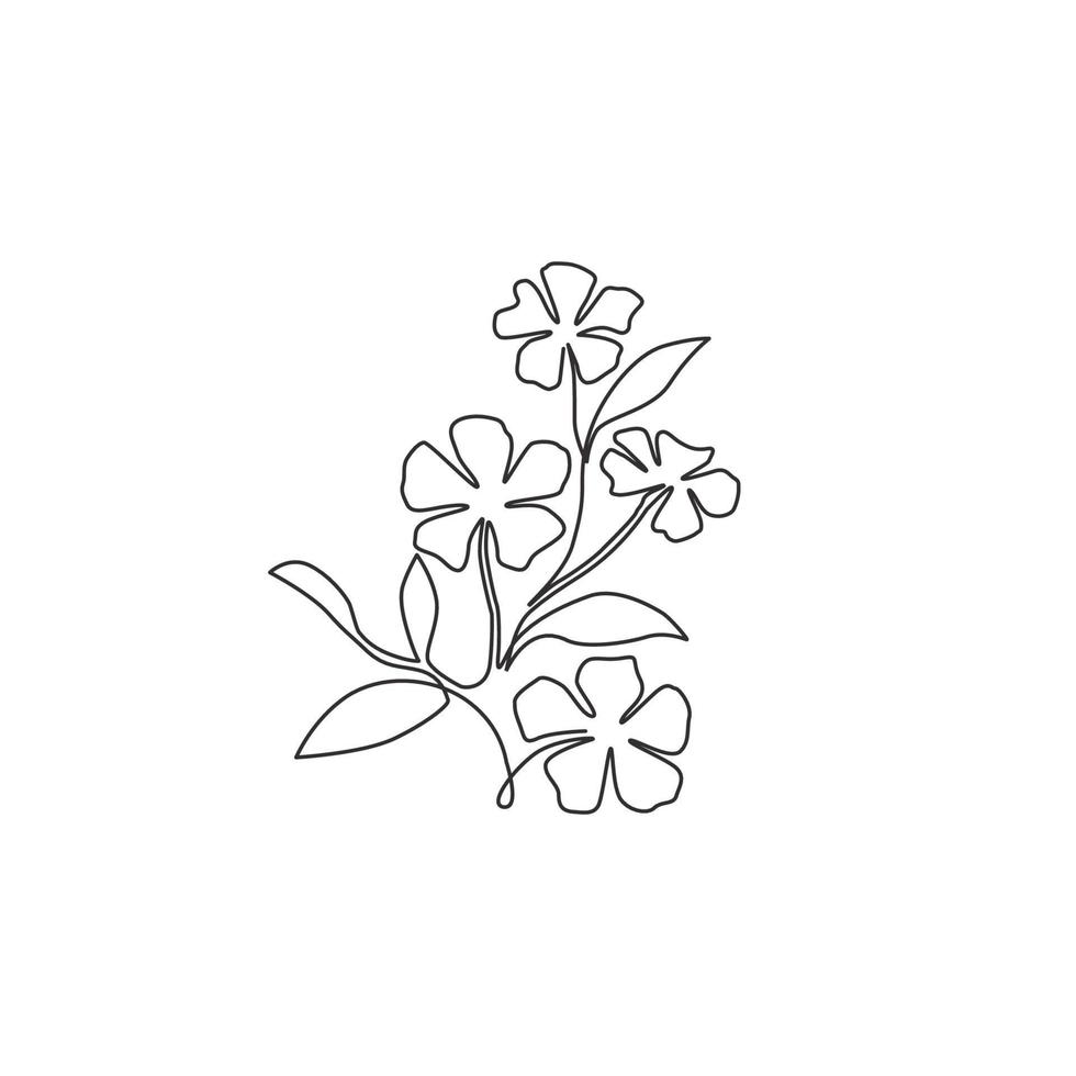 Single one line drawing of beauty fresh catharanthus for garden logo. Decorative periwinkle flower concept for home wall decor art poster print. Modern continuous line draw design vector illustration