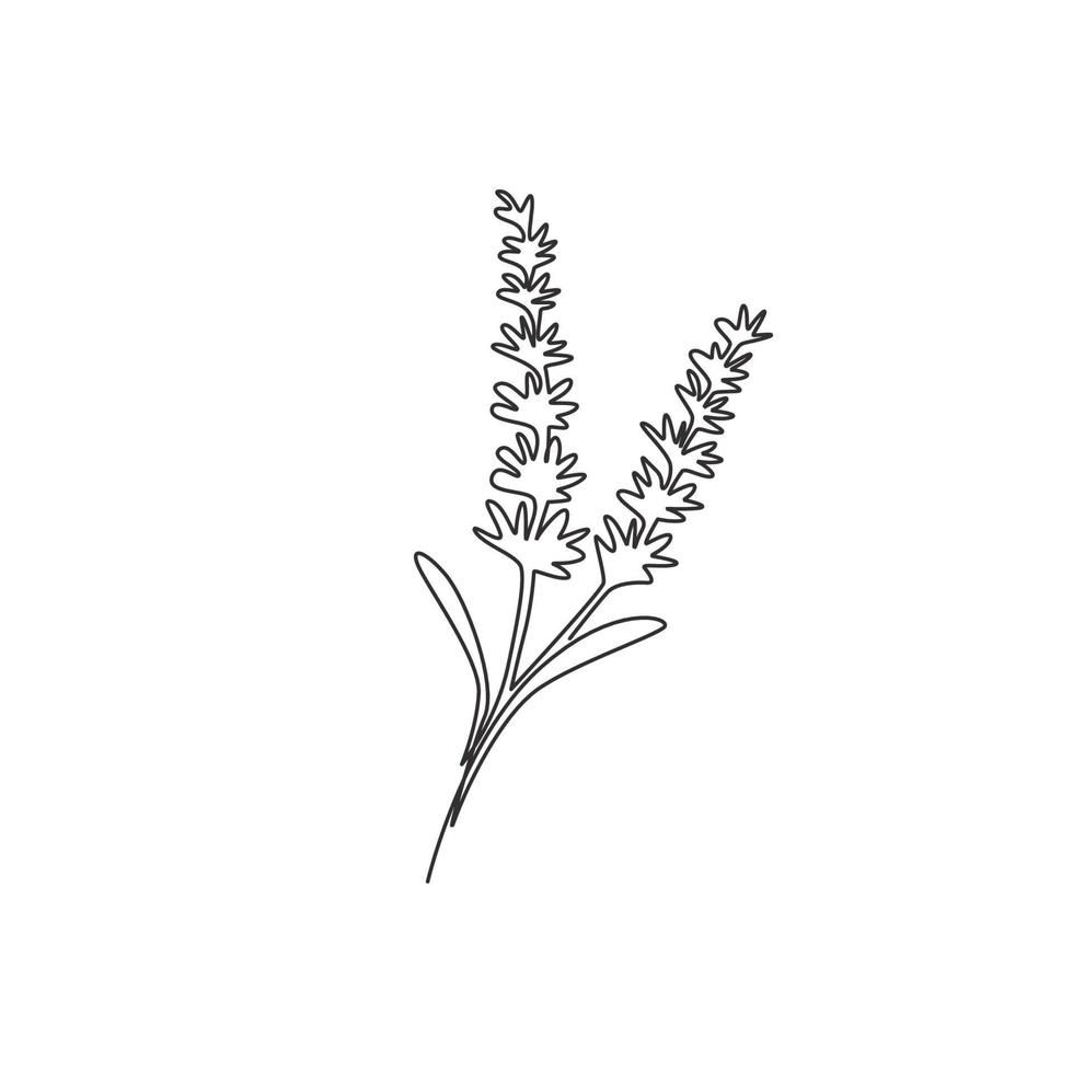 Single continuous line drawing of beauty fresh lavandula for home wall decor art poster print. Printable decorative lavender flower for invitation card. Trendy one line draw design vector illustration