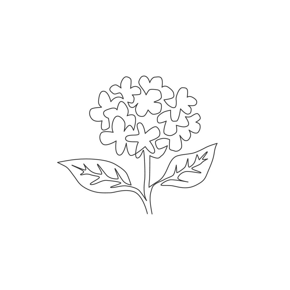 Single one line drawing of beauty fresh hortensia for garden logo. Decorative hydrangea flower concept for wall decor home art poster print. Modern continuous line draw design vector illustration