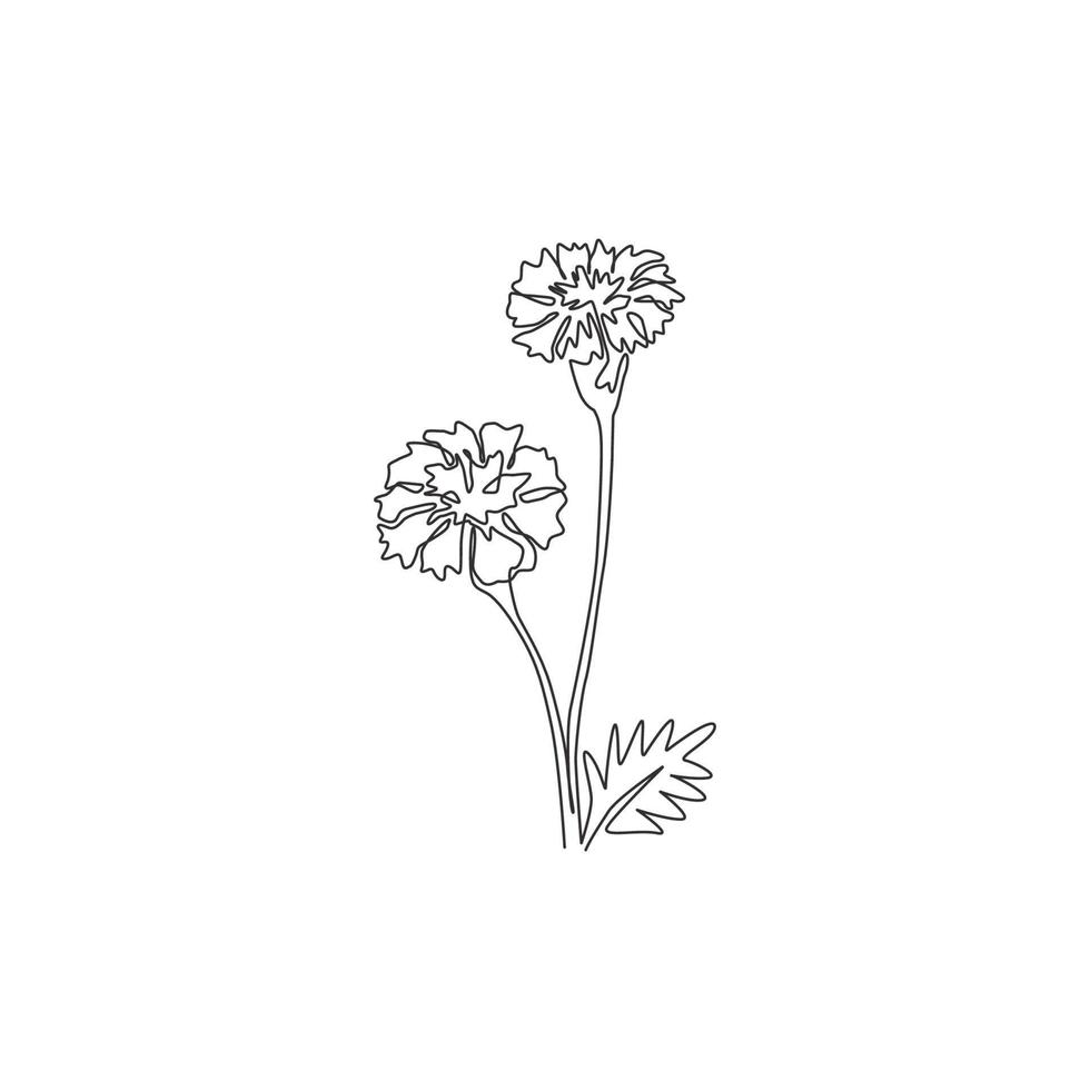 Dibujo de línea continua única de Beauty Fresh Tagetes erecta para decoración del hogar Impresión de póster de arte de pared. flor de caléndula decorativa para marco de tarjeta floral. Ilustración de vector de diseño de dibujo de una línea moderna