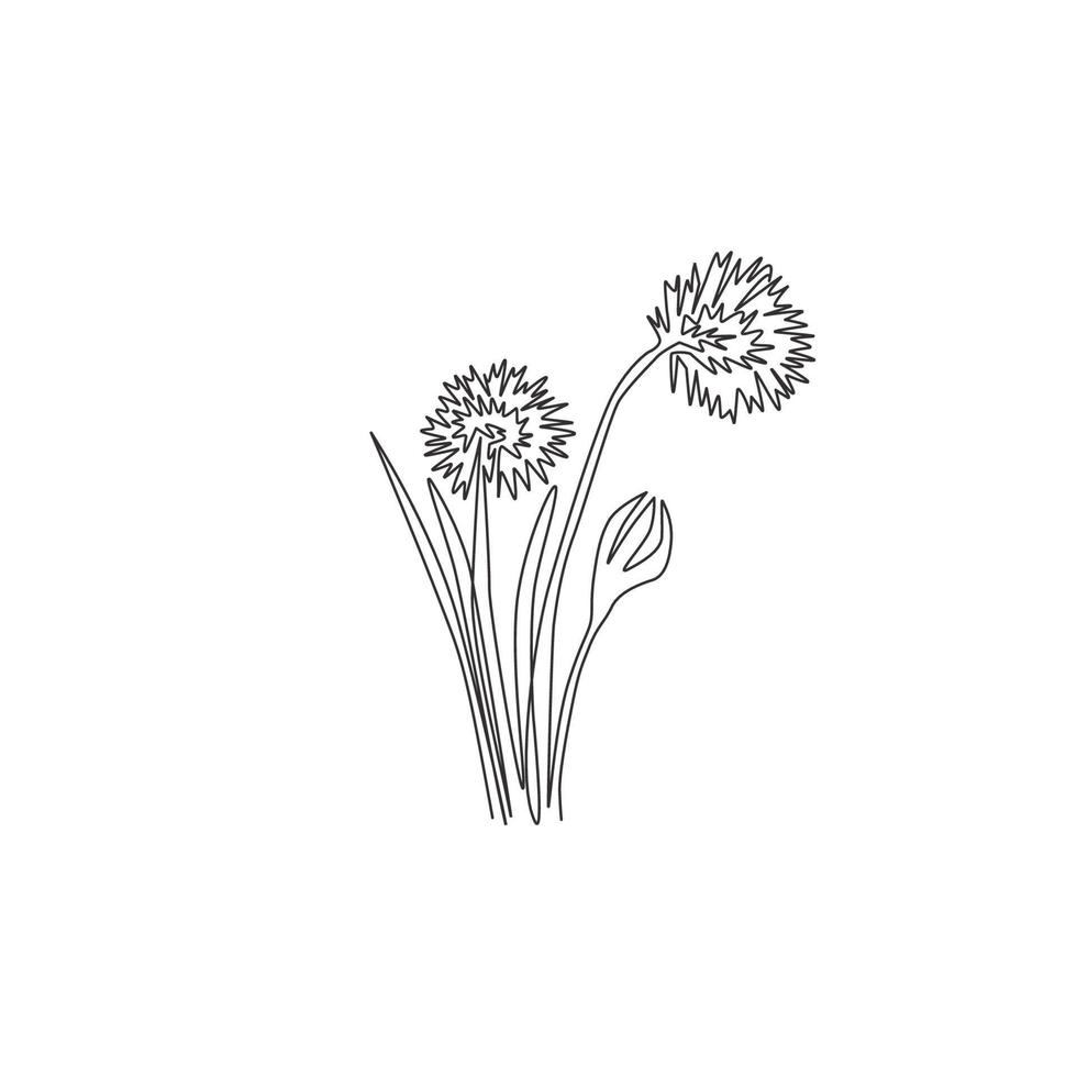 Single one line drawing of beauty fresh allium tuberosum for garden logo. Decorative chives flower concept for home wall decor art poster print. Modern continuous line draw design vector illustration