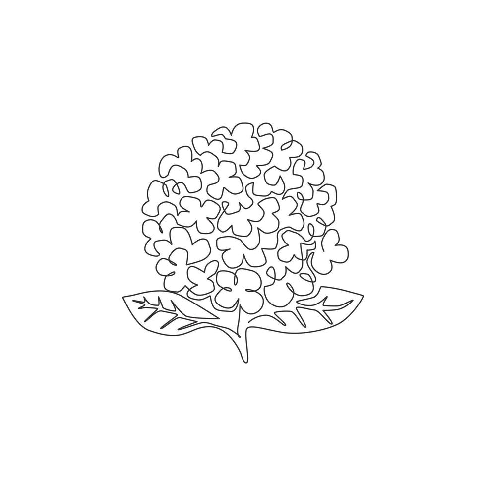 Un dibujo de línea continua de hortensias frescas de belleza para la impresión de carteles de decoración de pared de arte en el hogar. concepto de flor de hortensia decorativa para tarjeta de invitación. Ilustración de vector de diseño de dibujo de línea única de moda