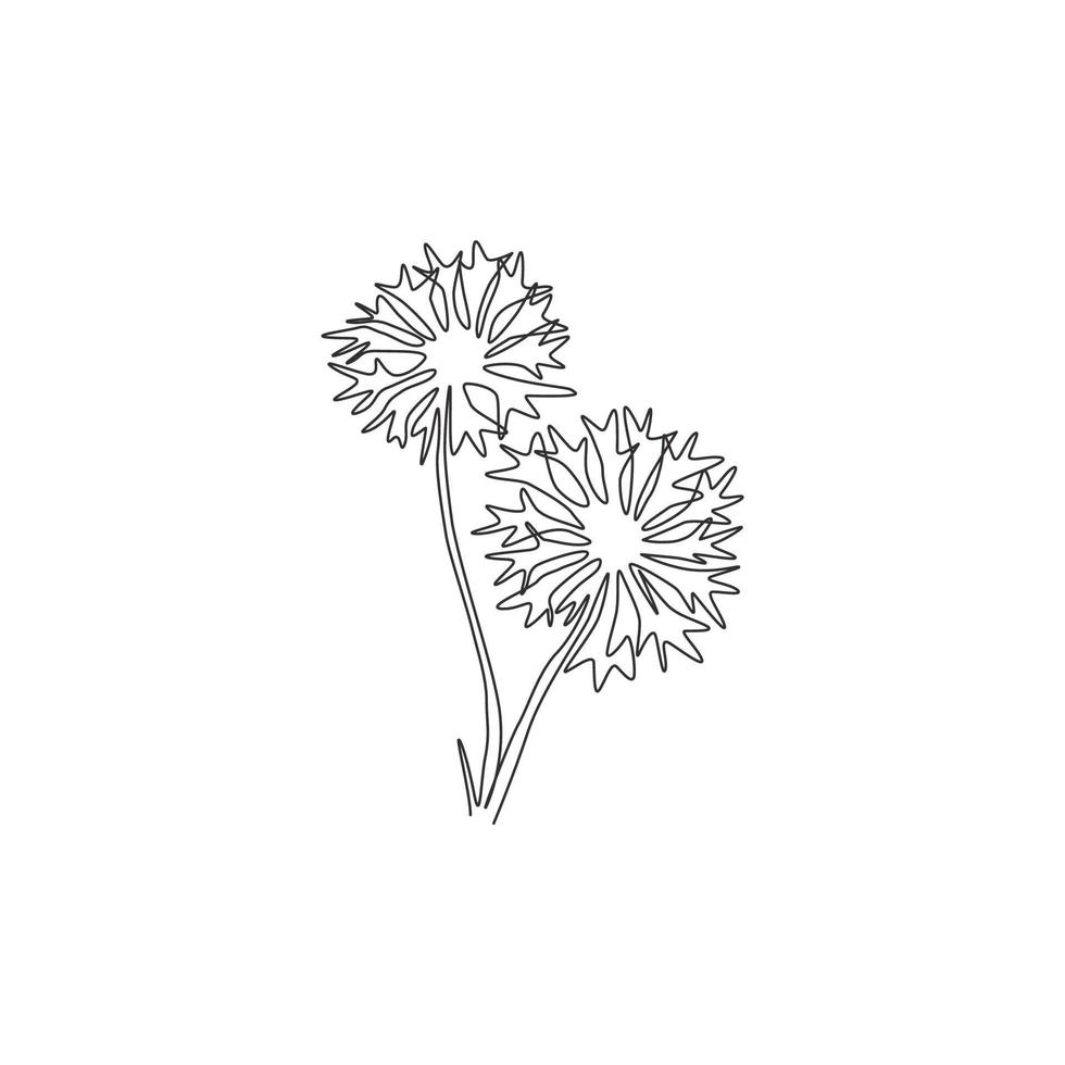 Single one line drawing of beauty fresh centaurea cyanusfor garden logo. Decorative cornflower concept for home decor wall art poster print. Modern continuous line draw design vector illustration