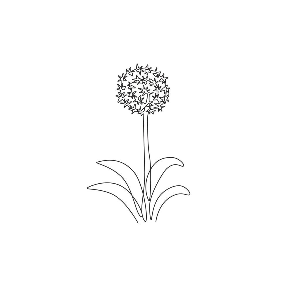 dibujo de una sola línea de belleza Allium giganteum fresco para el logotipo del jardín. Decorativo concepto de flor de cebolla gigante decoración para el hogar impresión de póster de arte de pared. Ilustración de vector de diseño de dibujo de línea continua moderna