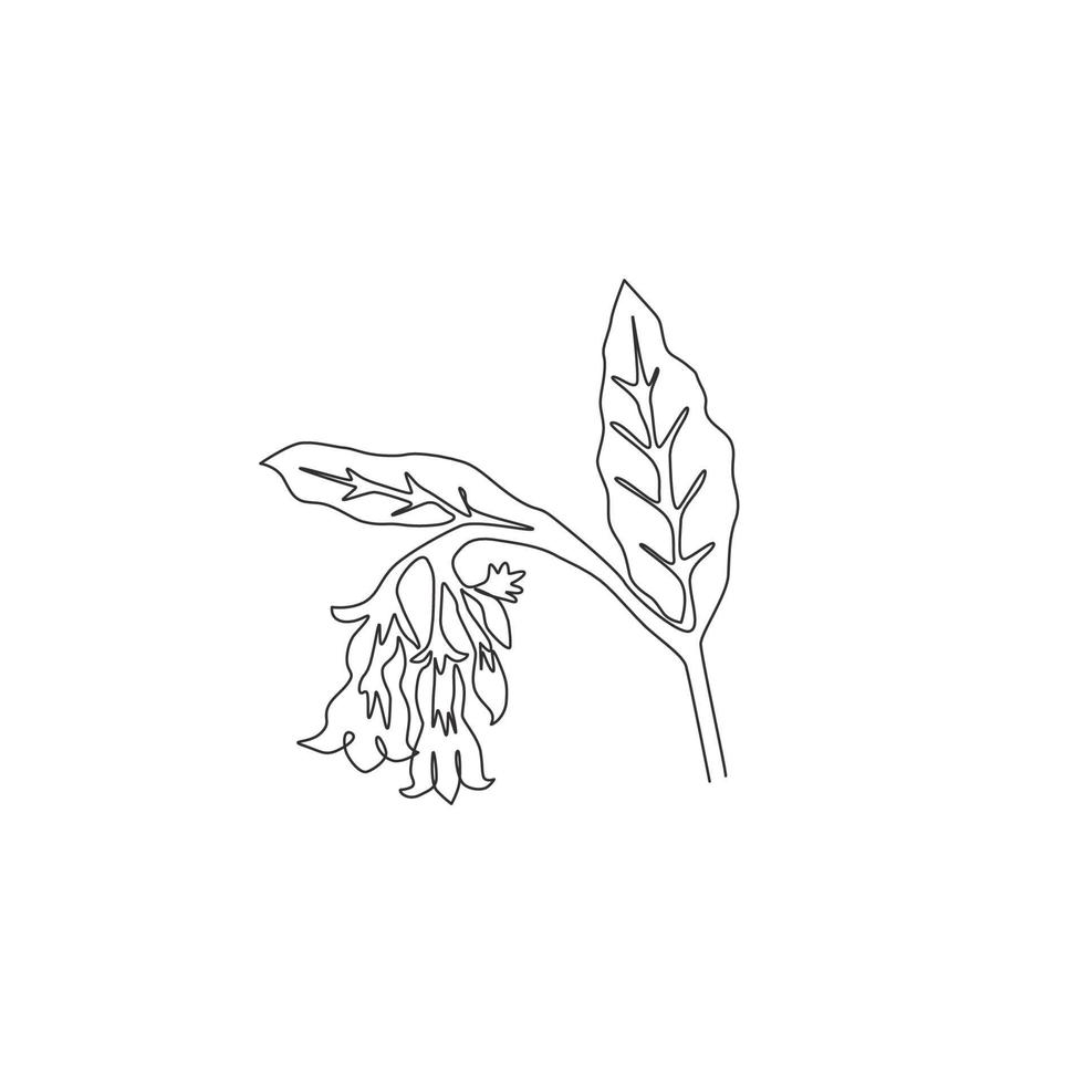 Single continuous line drawing of beauty fresh symphytum for garden logo. Decorative comfrey flower concept for floral invitation card frame. Modern one line draw design vector graphic illustration