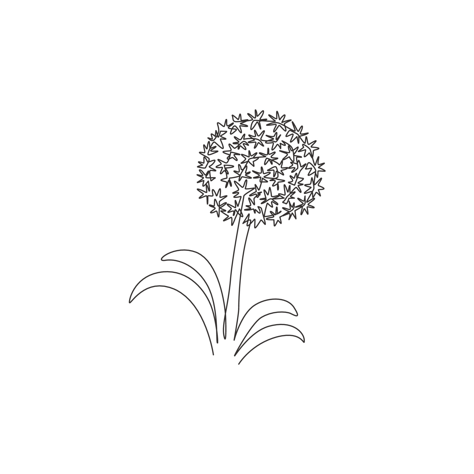 Single continuous line drawing beauty fresh allium giganteum for home decor  wall art poster print. Decorative globemaster flower for floral card frame.  Modern one line draw design vector illustration 4478773 Vector Art