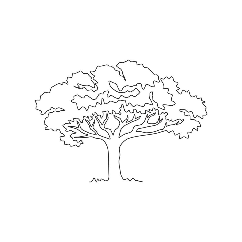 Single one line drawing of exotic and beauty marula tree. Decorative sclerocarya birrea for greeting post card. World tourism and travel concept. Modern continuous line draw design vector illustration