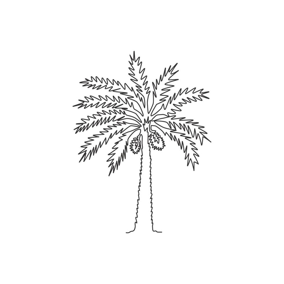 dibujo de una sola línea de belleza y palmera datilera exótica. concepto decorativo del árbol de Phoenix dactylifera para la empresa de plantaciones. Ilustración de vector gráfico de diseño de dibujo de línea continua moderna