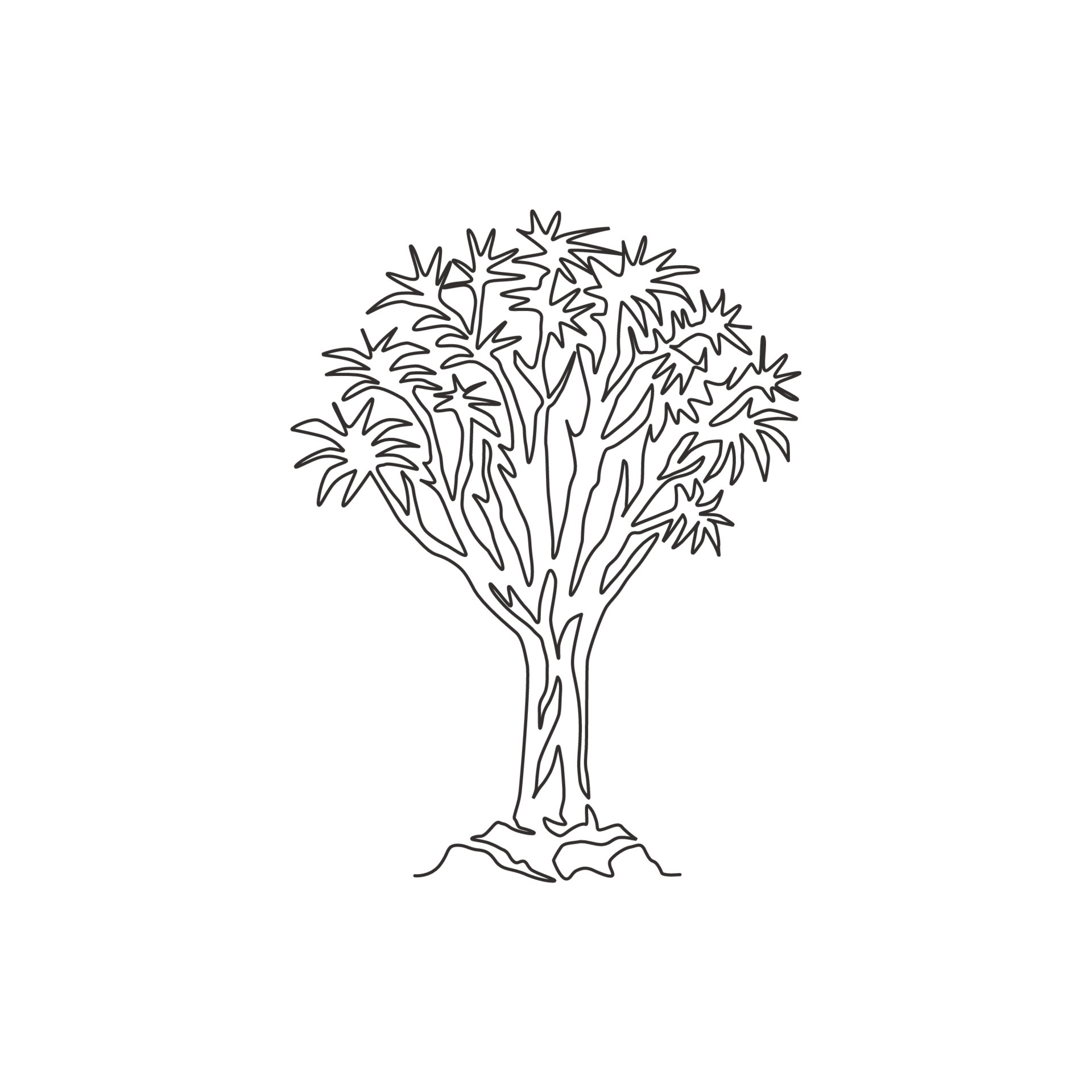 One continuous line drawing of quiver tree forest. Decorative kokerboom