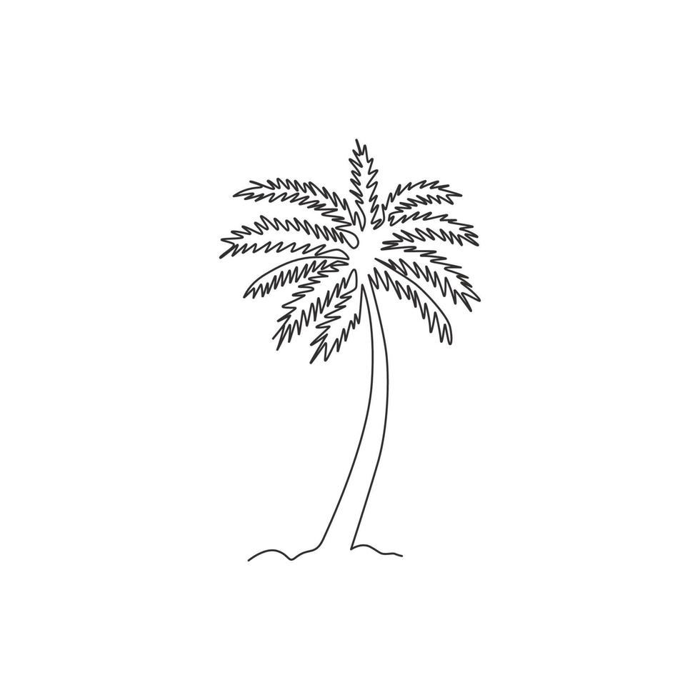 One continuous line drawing of cocos nucifera. Decorative coconut palm tree concept for plantation company logo and home art wall decor poster print. Trendy single line draw design vector illustration