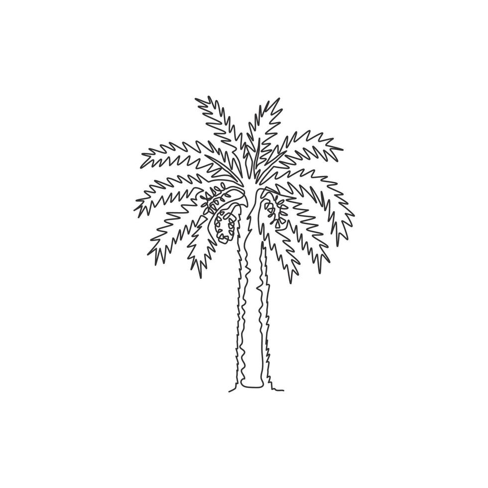 One continuous line drawing of beauty and exotic date palm tree. Decorative phoenix dactylifera plant concept for plantation company. Trendy single line draw design vector graphic illustration