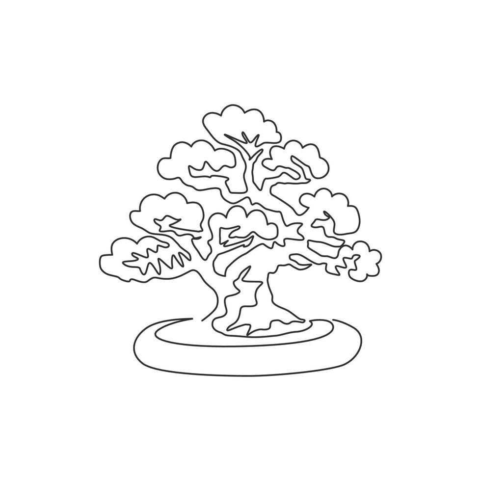 Un solo dibujo de una línea antigua belleza exótica mini árbol bonsai para el cartel de la decoración del arte de la pared del hogar. Planta de baniano en maceta decorativa para exhibición de exhibición. Ilustración de vector de diseño de dibujo de línea continua moderna