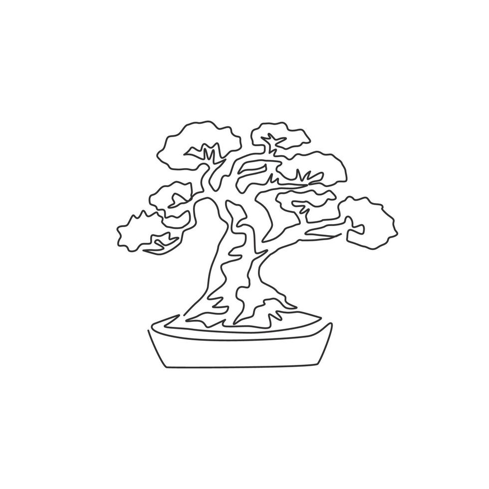 un dibujo de línea continua de una antigua belleza y un exótico árbol bonsai en miniatura. concepto decorativo de la planta de banyan para el logotipo de la exposición agrícola. Ilustración gráfica de vector de diseño de dibujo de línea única de moda