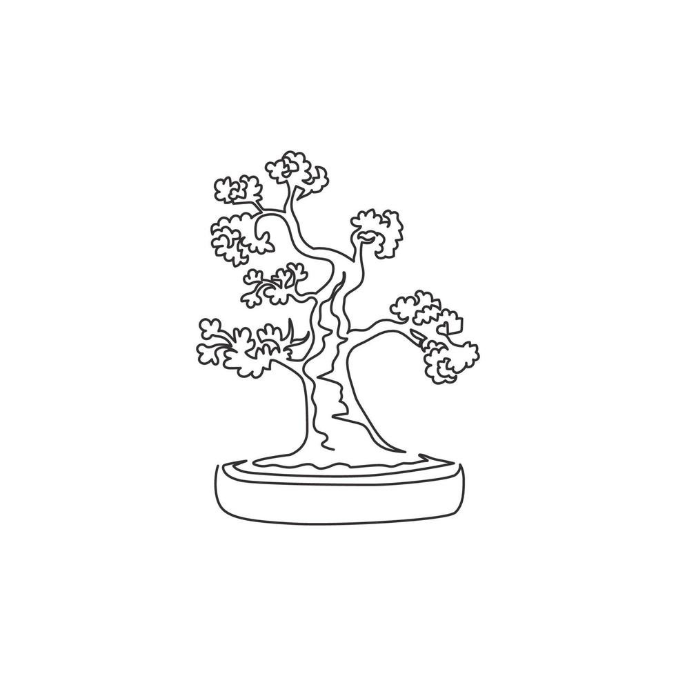 Single continuous line drawing of old beauty and charming exotic tiny bonsai tree. Decorative potted bend plant for greeting post card plant edition. Modern one line draw design vector illustration