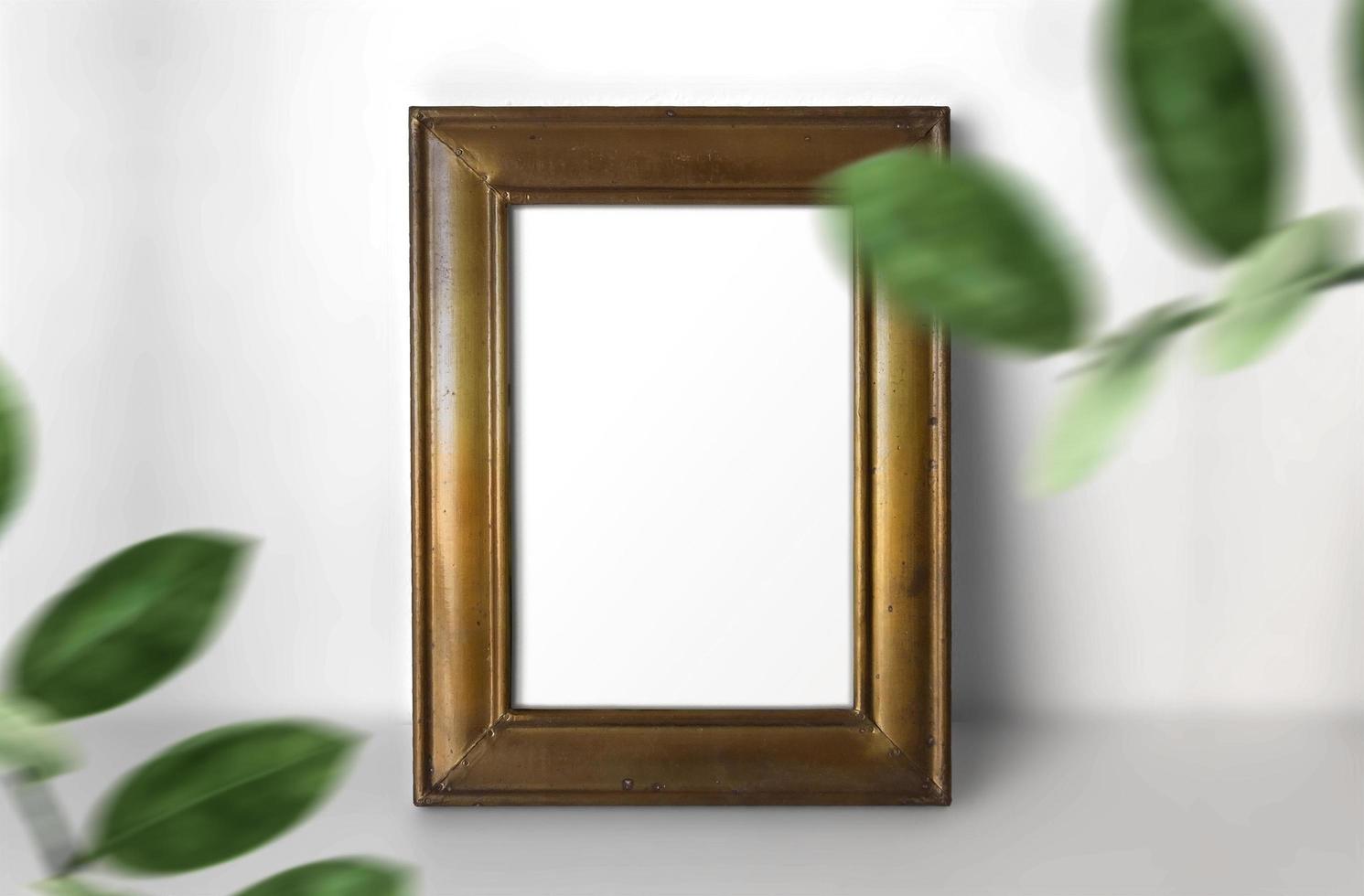 Vintage Frame Template Over White Background With Plants photo