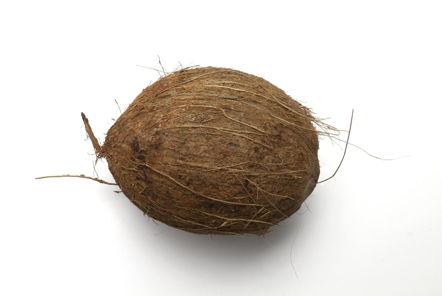 Isolated coconut on white Surface photo