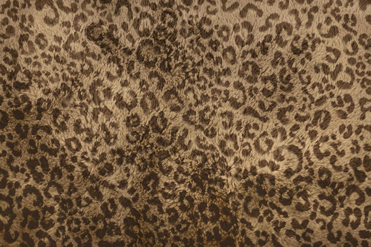textura de piel de leopardo foto
