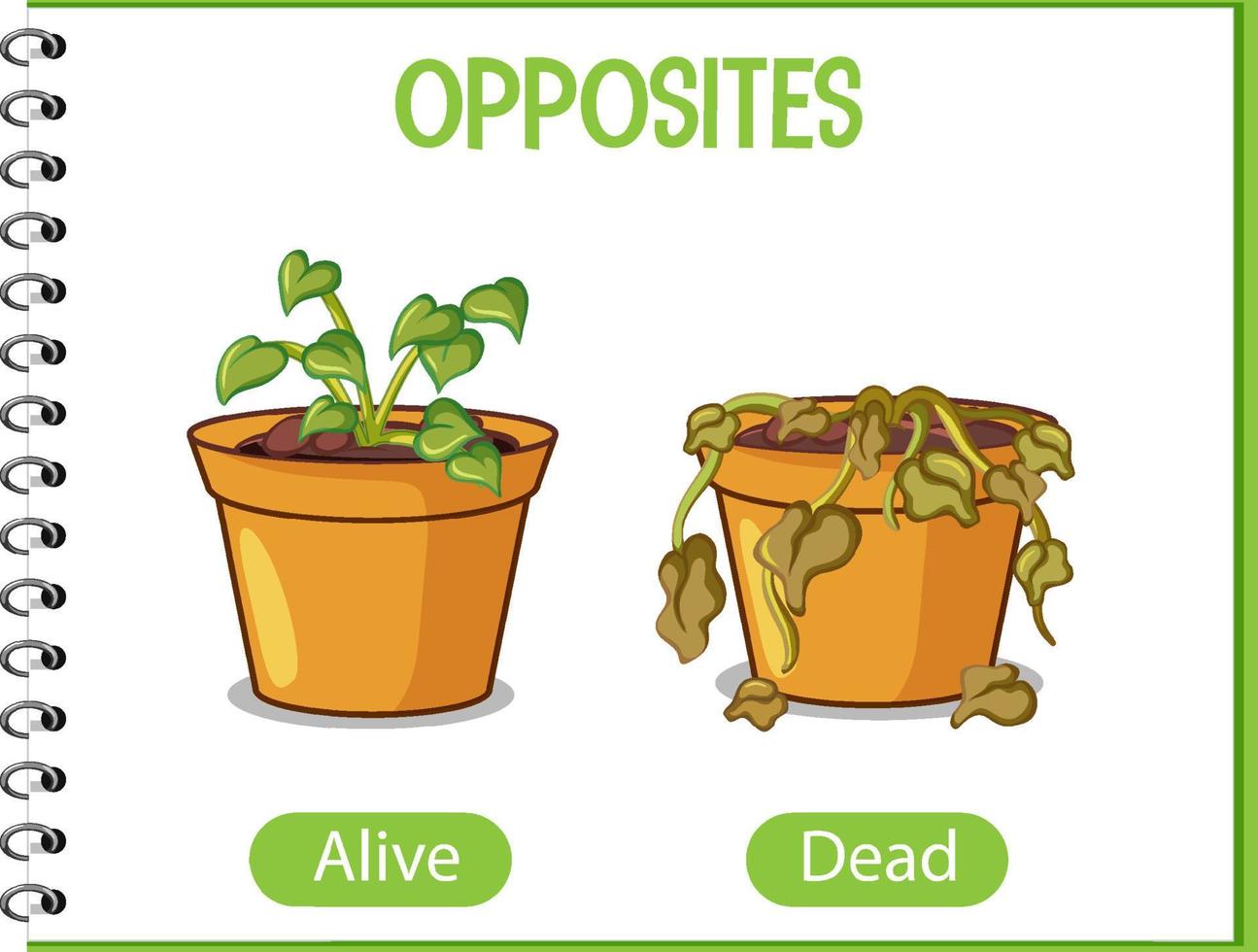 Opposite words with alive and dead vector