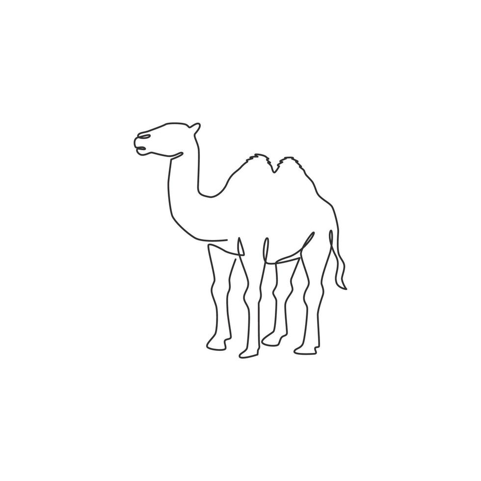 un dibujo de una sola línea de camello árabe del desierto para la identidad del logotipo. lindo concepto animal mamífero para el icono de la cría de ganado. Ilustración de vector gráfico de diseño de dibujo de línea continua de moda