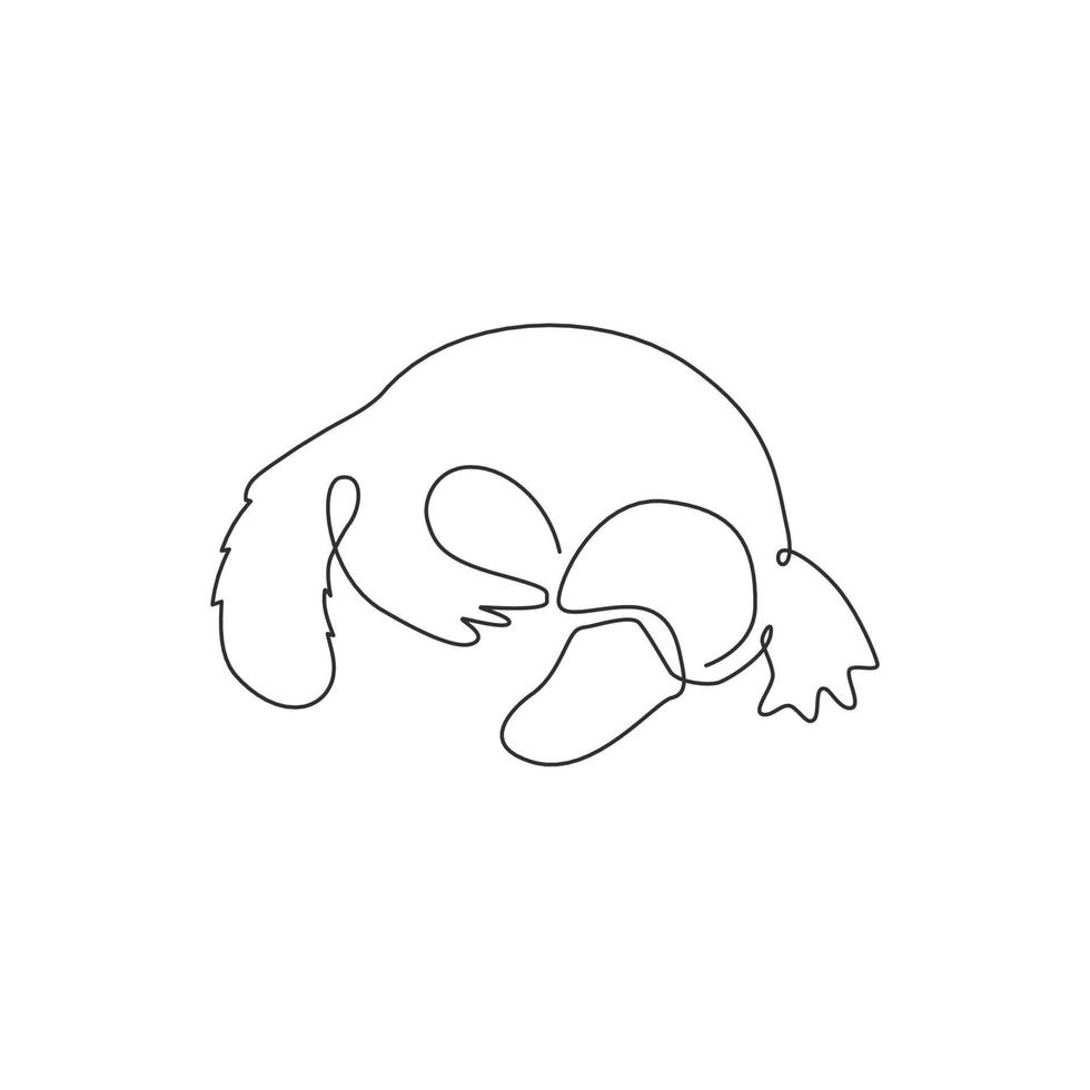 One single line drawing of smart unique platypus for logo identity. Typical cute Australian animal mascot concept for national park icon. Trendy continuous line draw graphic design vector illustration
