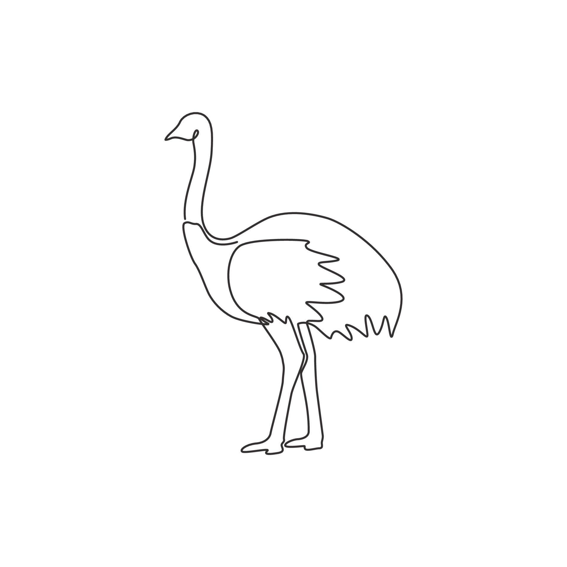 Single continuous line drawing of large ostrich for logo identity. Long ...