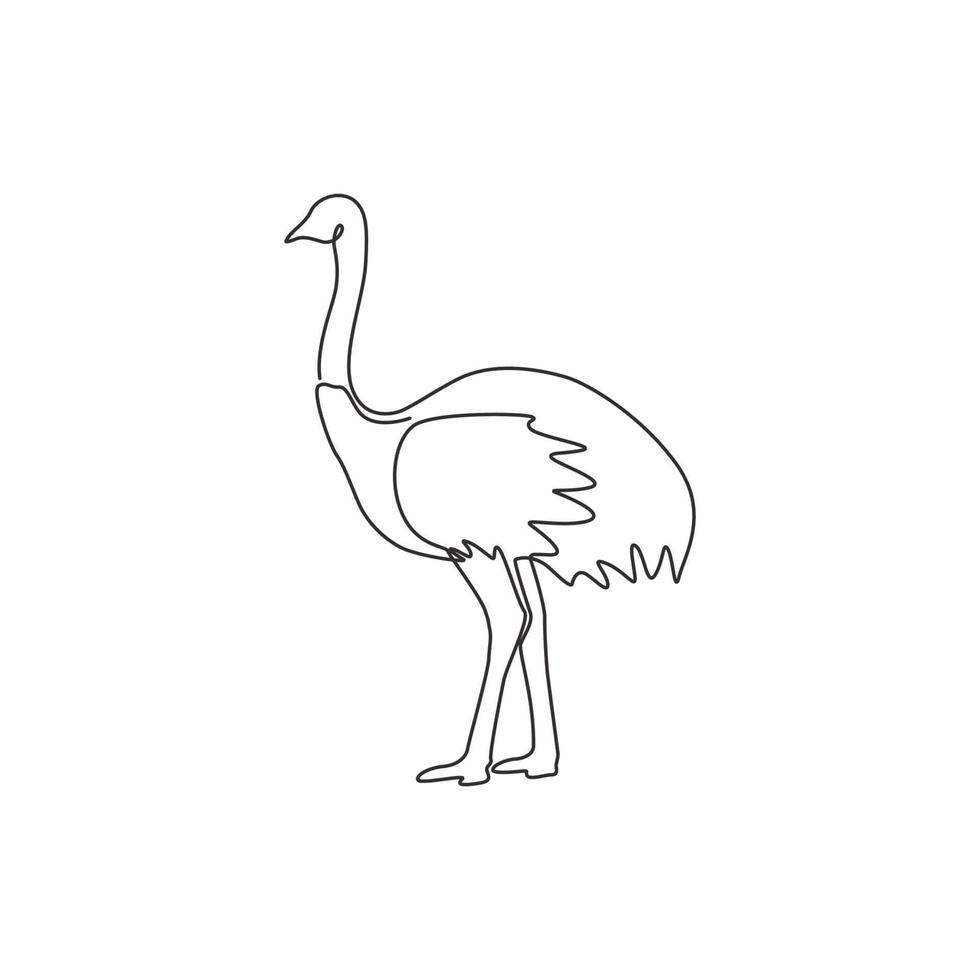 dibujo de una sola línea continua de avestruz grande para la identidad del logotipo. concepto de mascota de pájaro de cuello largo para el icono del zoológico nacional. Ilustración de vector de diseño gráfico de dibujo de una línea moderna