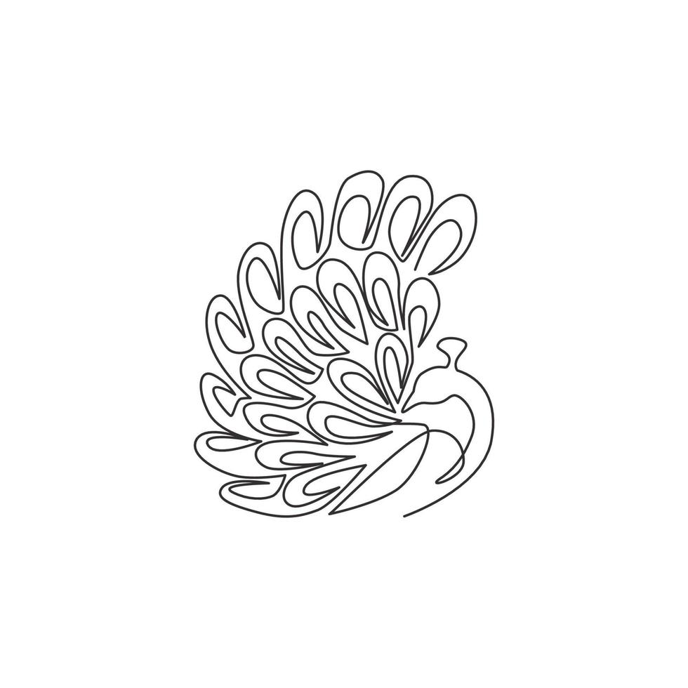One continuous line drawing of beauty adorable peacock for company logo identity. Big pretty bird mascot concept for national zoo icon. Modern single line draw design vector illustration graphic