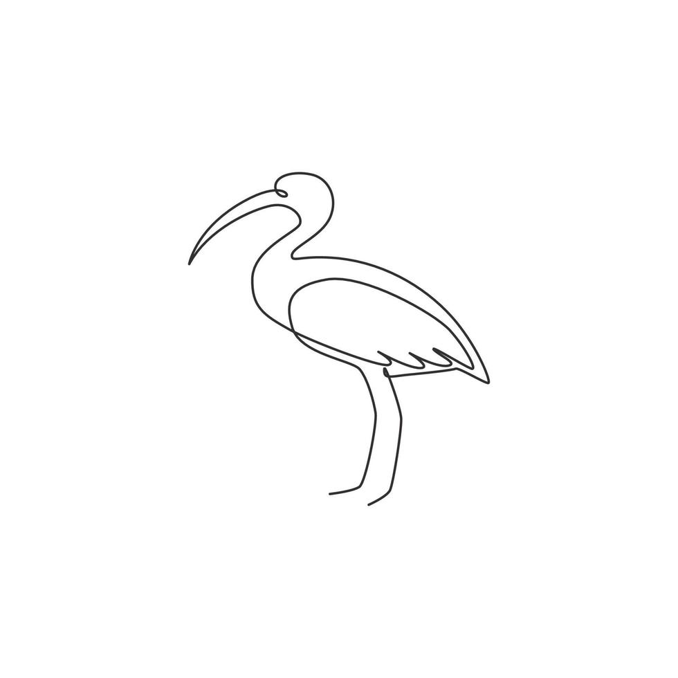 One continuous line drawing of cute ibis for company logo identity. Long legged wading bird mascot concept for national zoo icon. Modern single line draw design vector graphic illustration