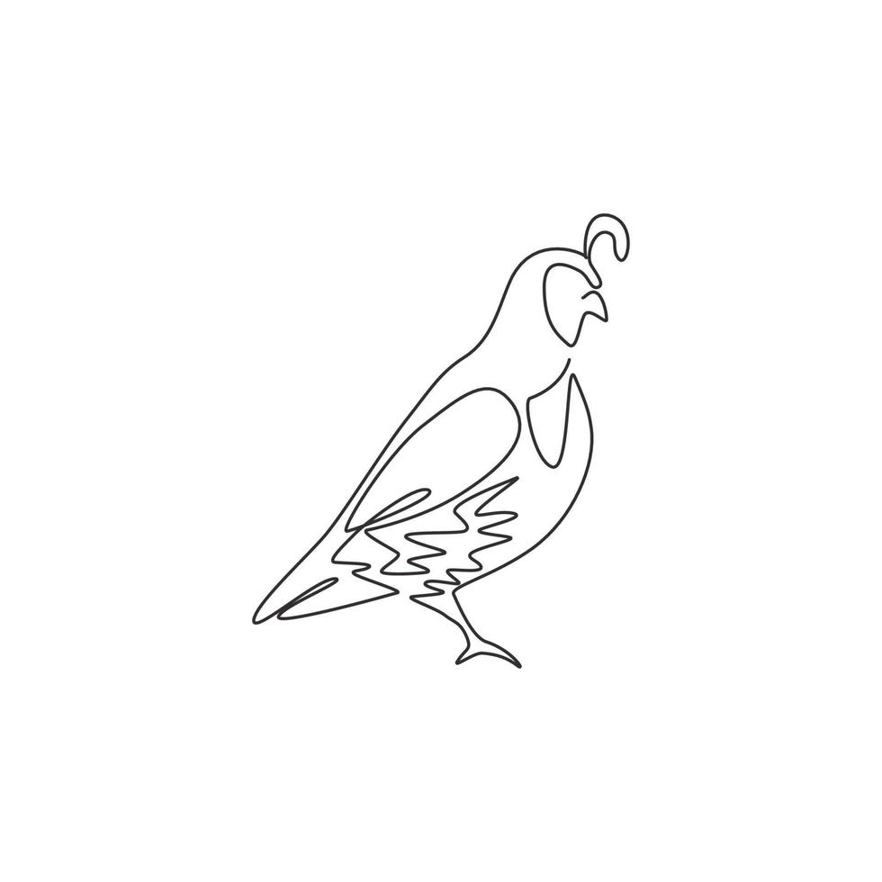One continuous line drawing of cute California quail for farm logo identity. Highly sociable bird mascot concept for national park icon. Modern single line draw design graphic vector illustration