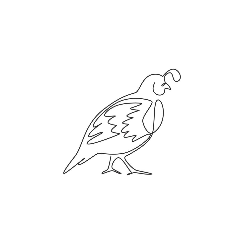 un dibujo de una sola línea de una divertida codorniz del valle para la identidad del logotipo. concepto de mascota de ave de codorniz de California para el icono del parque nacional de conservación. Ilustración de vector de diseño de dibujo de línea continua moderna