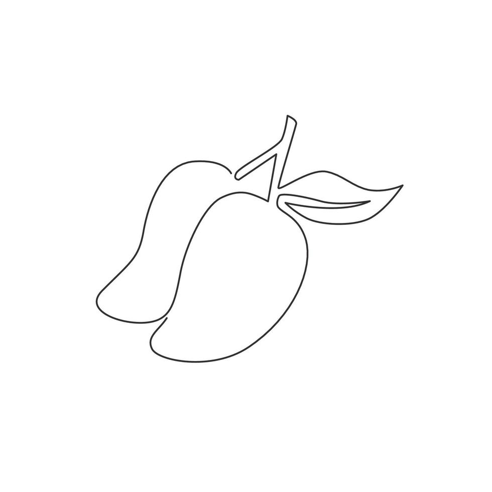 dibujo de una sola línea de mangos orgánicos saludables para la identidad del logotipo del huerto. concepto de fruitage tropical fresca para el icono de jardín de frutas. Ilustración de vector de diseño gráfico de dibujo de línea continua moderna