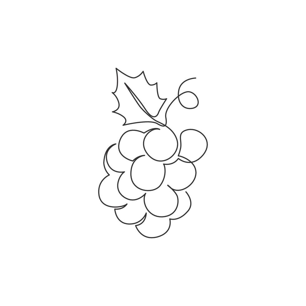 Single continuous line drawing healthy organic grapes for vineyard logo identity. Fresh tropical fruitage concept for fruit orchard garden icon. Modern one line draw graphic design vector illustration