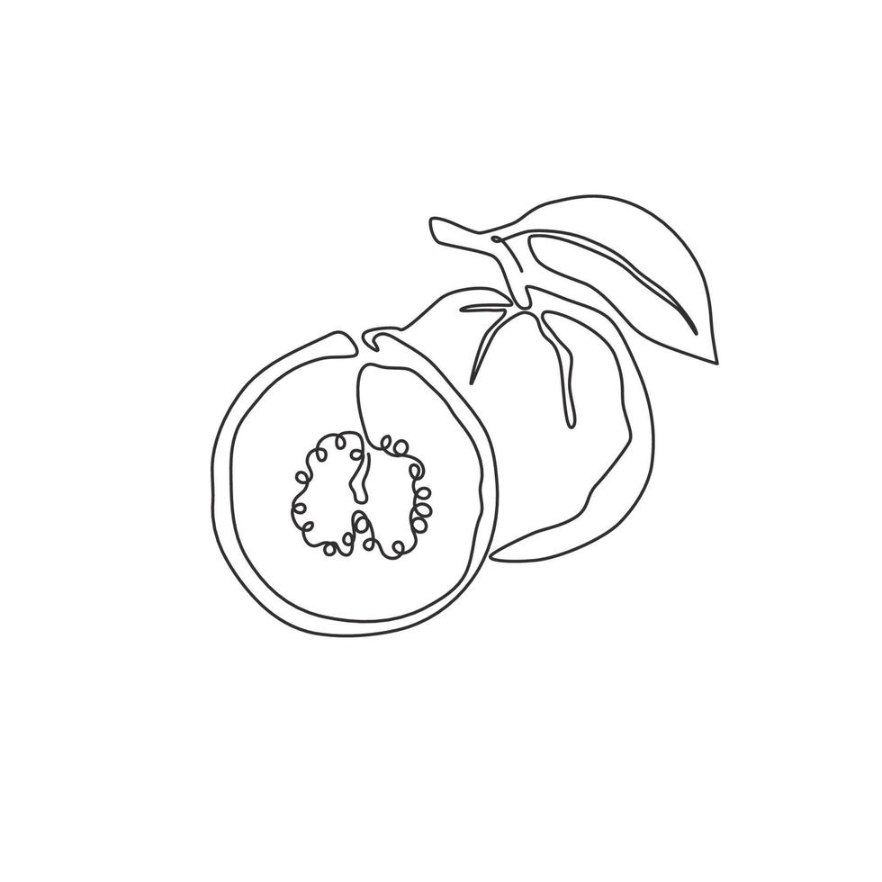 Single continuous line drawing whole and half sliced healthy organic java guava for orchard logo identity. Fresh fruit concept for garden icon. Modern one line draw graphic design vector illustration