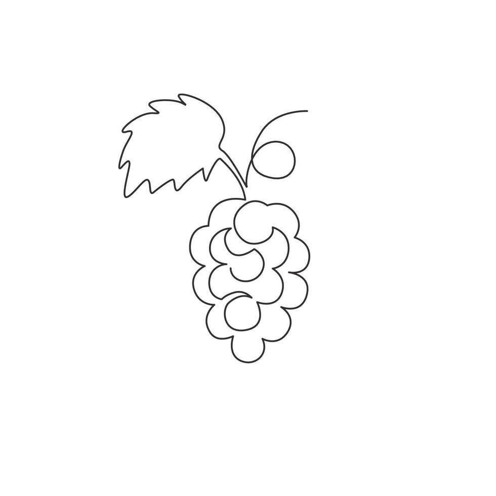 One continuous line drawing healthy organic grapes for vineyard logo identity. Fresh tropical fruitage concept for fruit orchard garden icon. Modern single line draw design vector graphic illustration