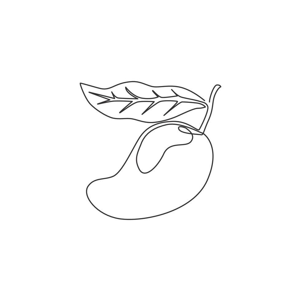 One continuous line drawing of healthy organic mango for orchard logo identity. Fresh tropical fruitage concept for fruit garden icon. Modern single line draw design vector graphic illustration