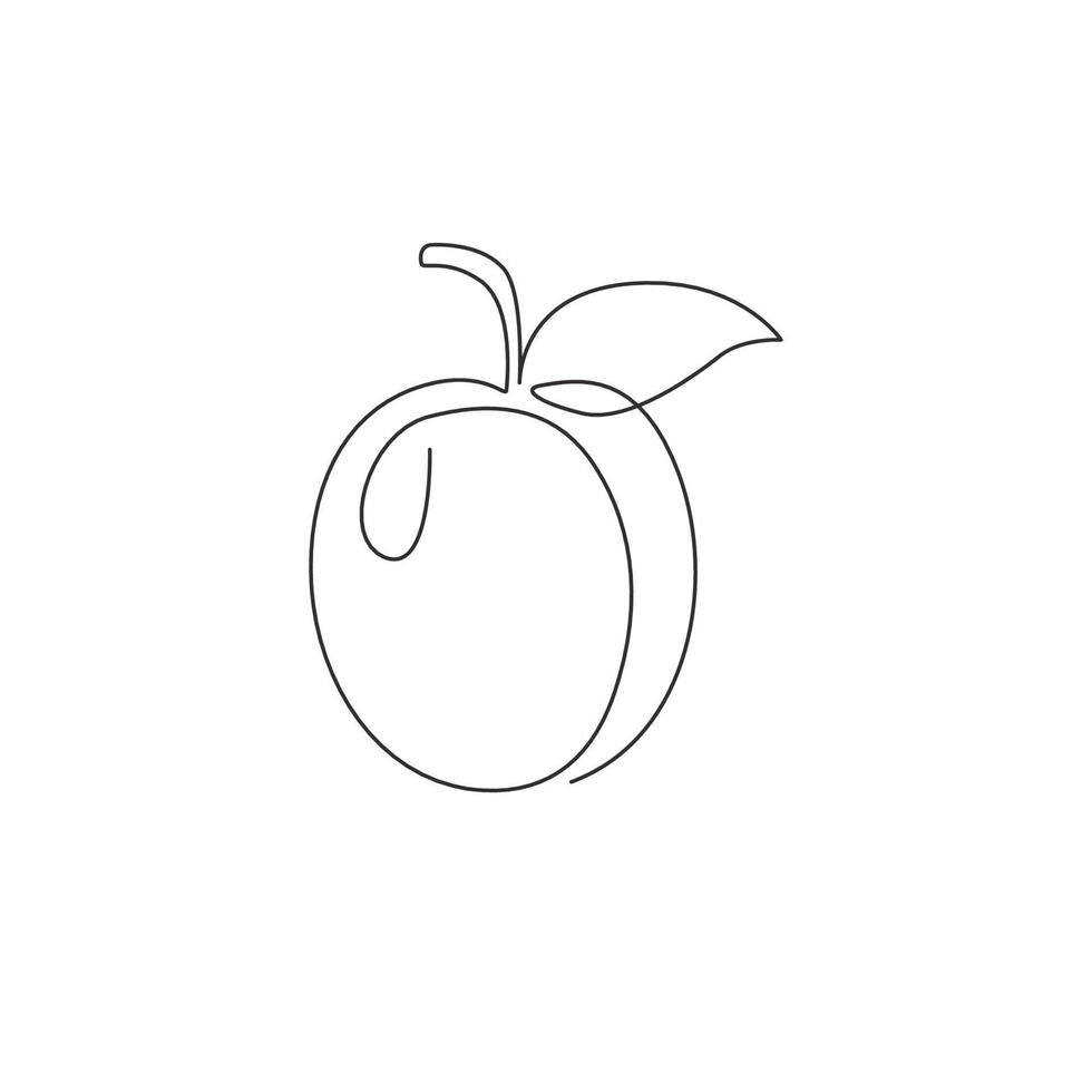 un dibujo de línea continua de albaricoque orgánico saludable completo para la identidad del logotipo de huerto. concepto de fruitage fresco para el icono de jardín de frutas. Ilustración de vector gráfico de diseño de dibujo de una sola línea moderna