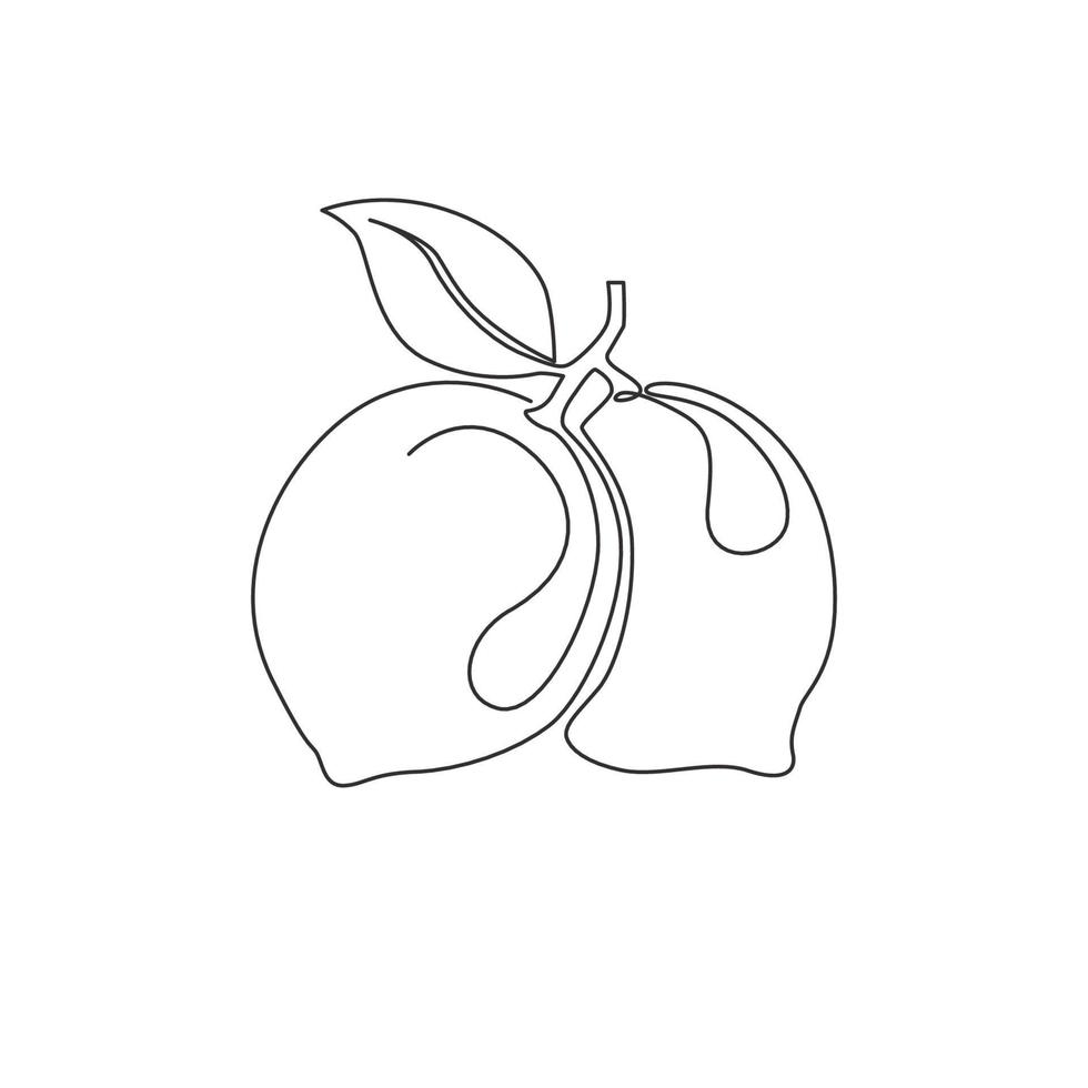 One continuous line drawing of whole healthy organic lemon for orchard logo identity. Fresh lemonade fruitage concept for fruit garden icon. Modern single line draw design vector graphic illustration