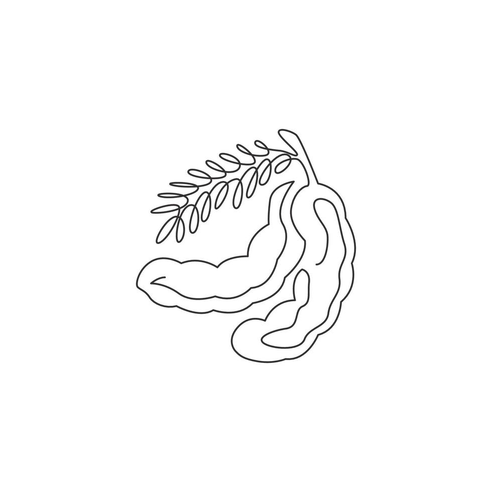 One continuous line drawing of whole healthy organic tamarind for orchard logo identity. Fresh fruitage concept for fruit garden icon. Modern single line draw design graphic vector illustration