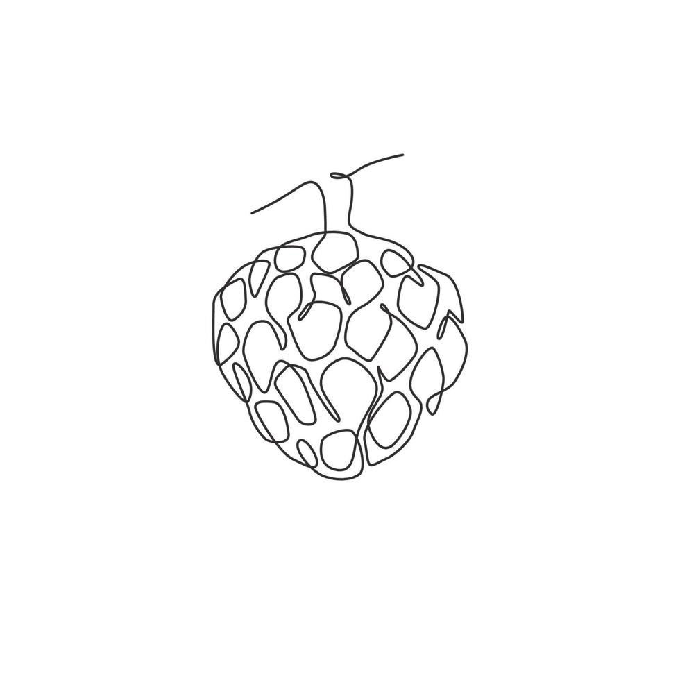 Single continuous line drawing of whole healthy organic fruit sugar for orchard logo identity. Fresh antioxidant fruitage concept for fruit garden icon. Modern one line draw design vector illustration
