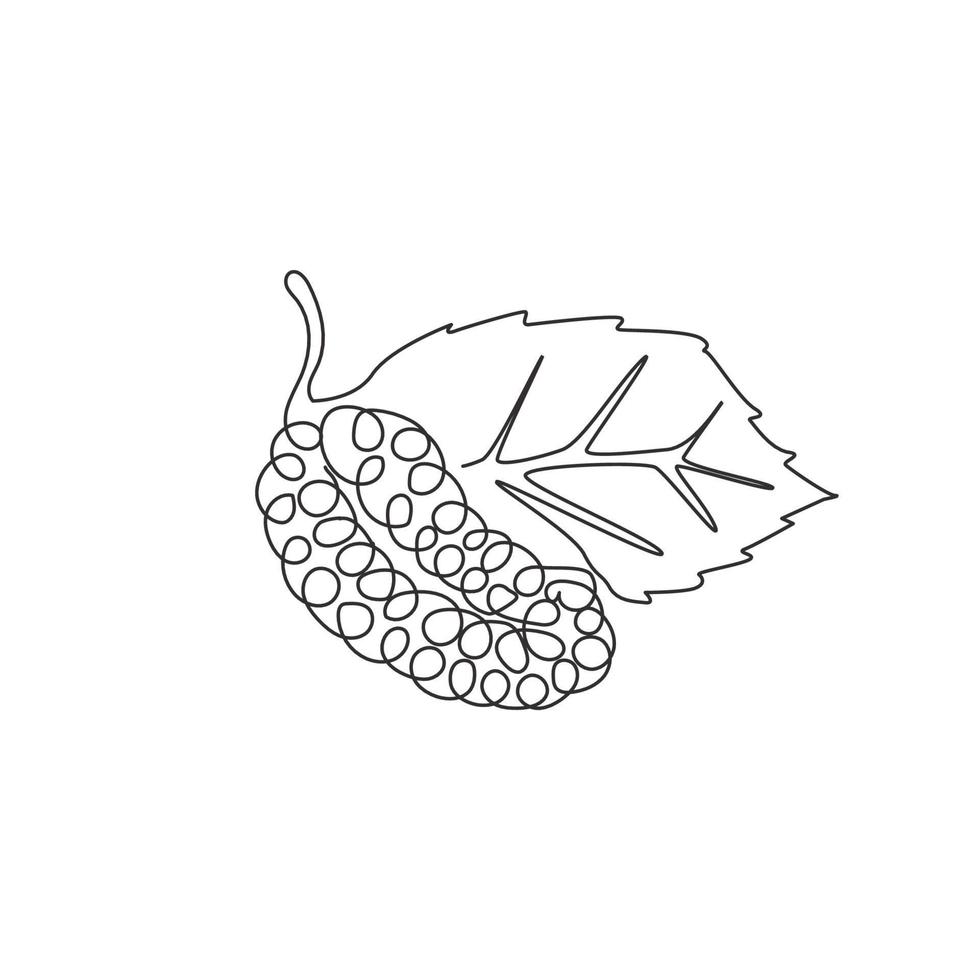 Single continuous line drawing of whole healthy organic mulberry for orchard logo identity. Fresh berry fruitage concept for fruit garden icon. Modern one line draw design graphic vector illustration