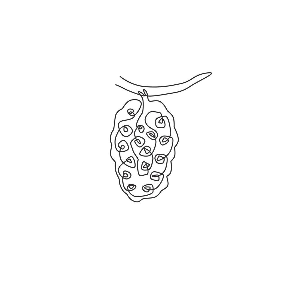 Single continuous line drawing whole healthy organic tropical noni for orchard logo identity. Fresh fruit bearing tree concept for garden icon. Modern one line draw design vector graphic illustration