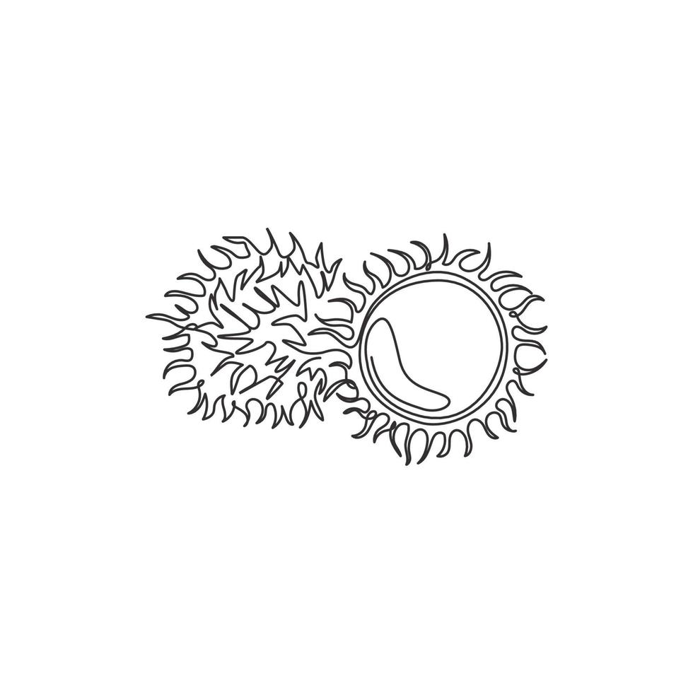 Single continuous line drawing whole and sliced healthy organic rambutans for orchard logo identity. Fresh hairy fruit concept for garden icon. Modern one line draw design vector graphic illustration