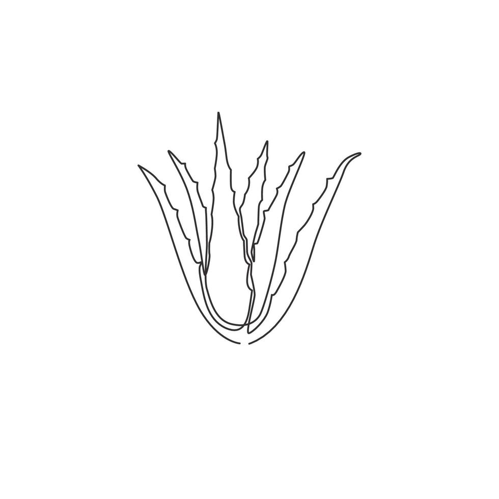 dibujo de línea continua única de aloe vera verde orgánico saludable para la identidad del logotipo de la granja. concepto de planta suculenta tropical fresca para icono agrícola. Ilustración de vector de diseño de dibujo de una línea moderna