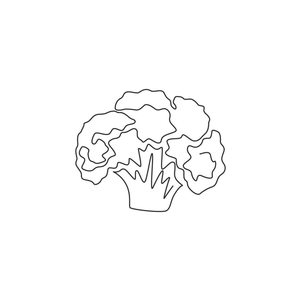 un dibujo de una sola línea de coliflor orgánica sana entera para la identidad del logotipo de la granja. Brassica oleracea fresca concepto de icono vegetal. Ilustración gráfica de vector de diseño de dibujo de línea continua moderna