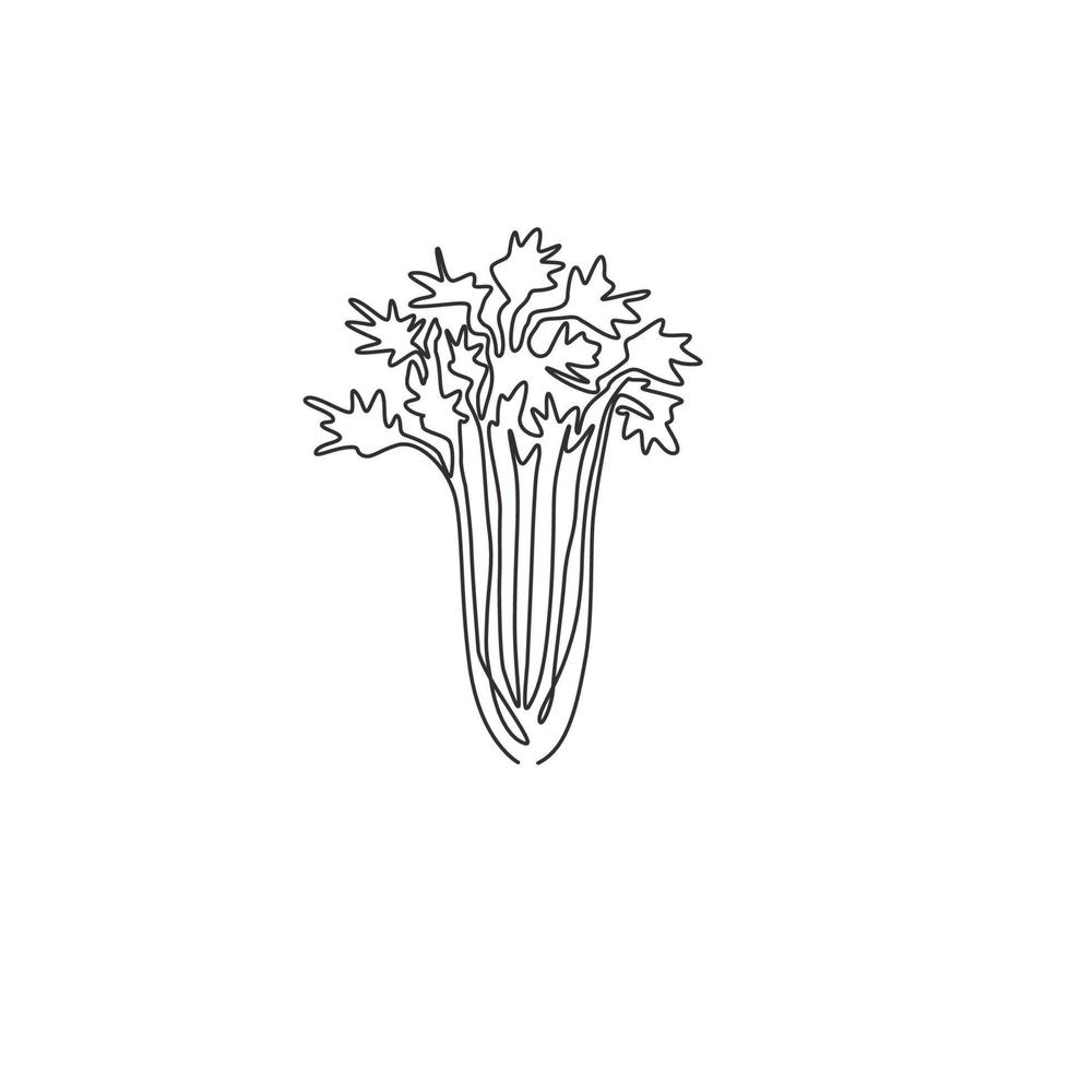 One continuous line drawing of bunch healthy organic green celery for farm logo identity. Fresh marshland plant concept for vegetable icon. Modern single line draw design vector graphic illustration