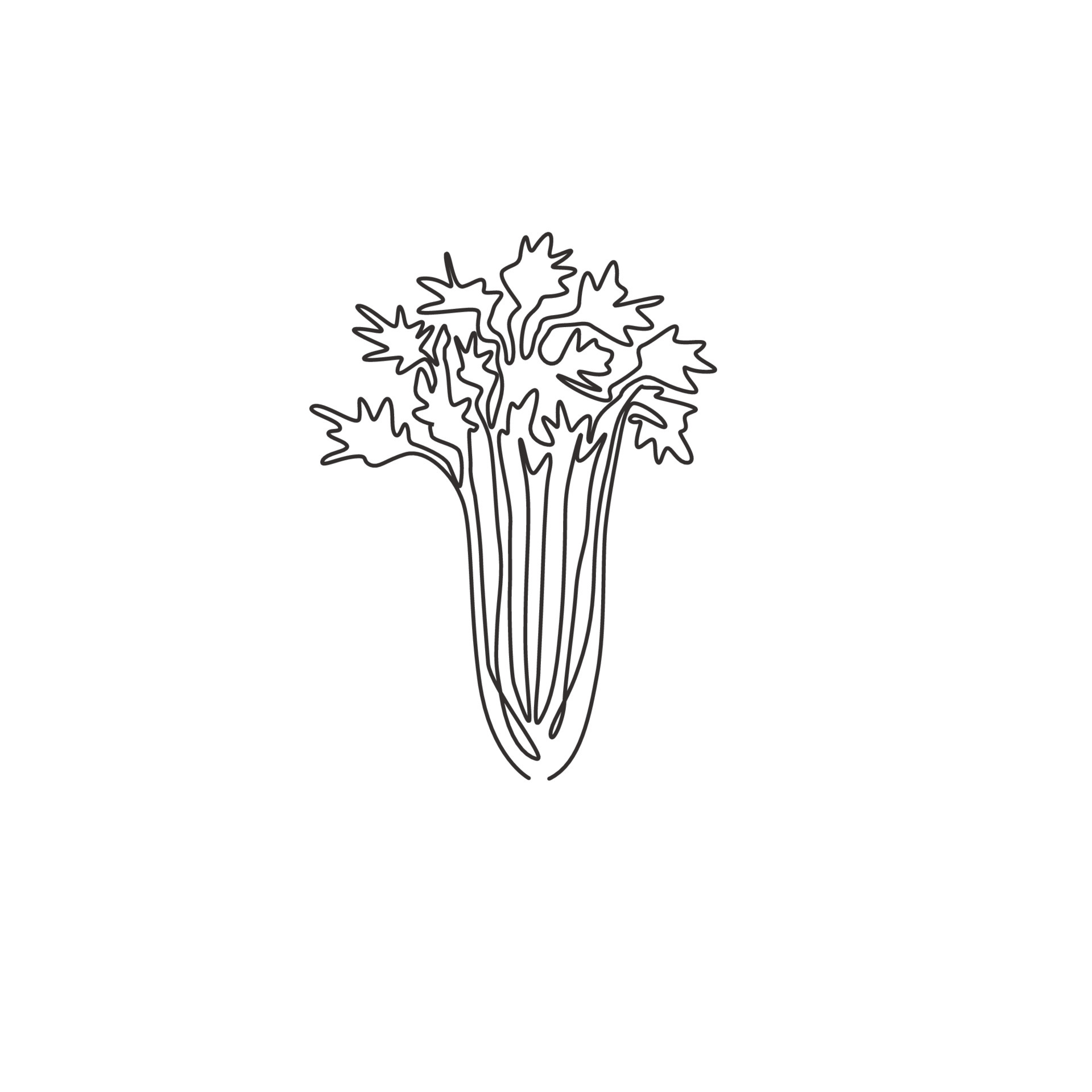 One continuous line drawing of bunch healthy organic green celery for