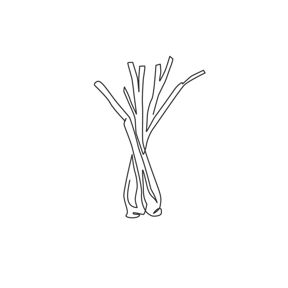 Single continuous line drawing of whole healthy organic lemongrass for farm logo identity. Fresh cymbopogon concept for grass vegetable icon. Modern one line draw design vector graphic illustration