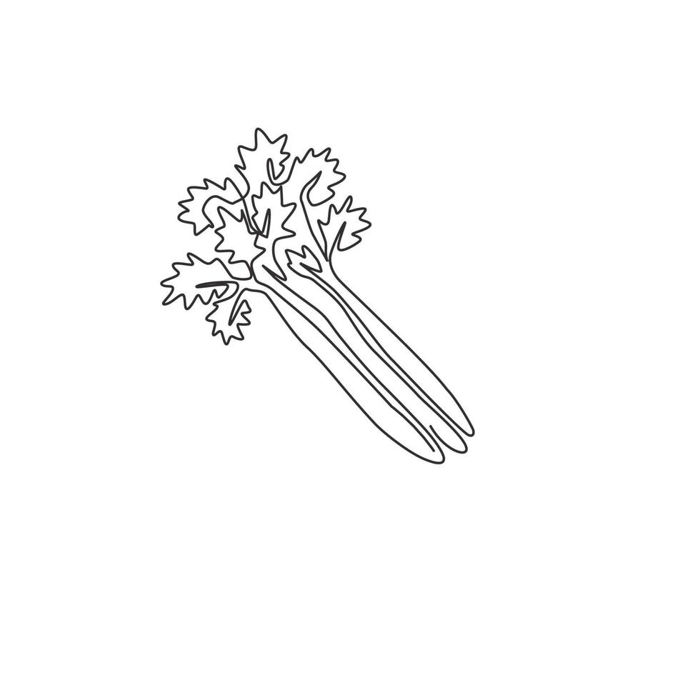 Single continuous line drawing of bunch healthy organic green celery for farm logo identity. Fresh marshland plant concept for vegetable icon. Modern one line draw design graphic vector illustration